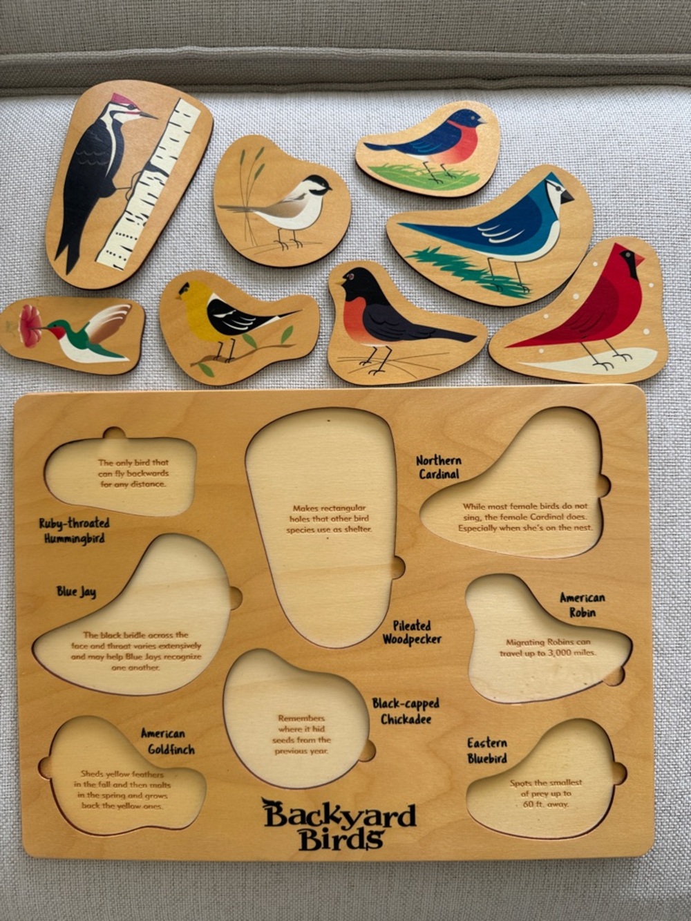 Maple Landmark Lift & Learn Backyard Birds Wooden Puzzle - Picture 8 of 11